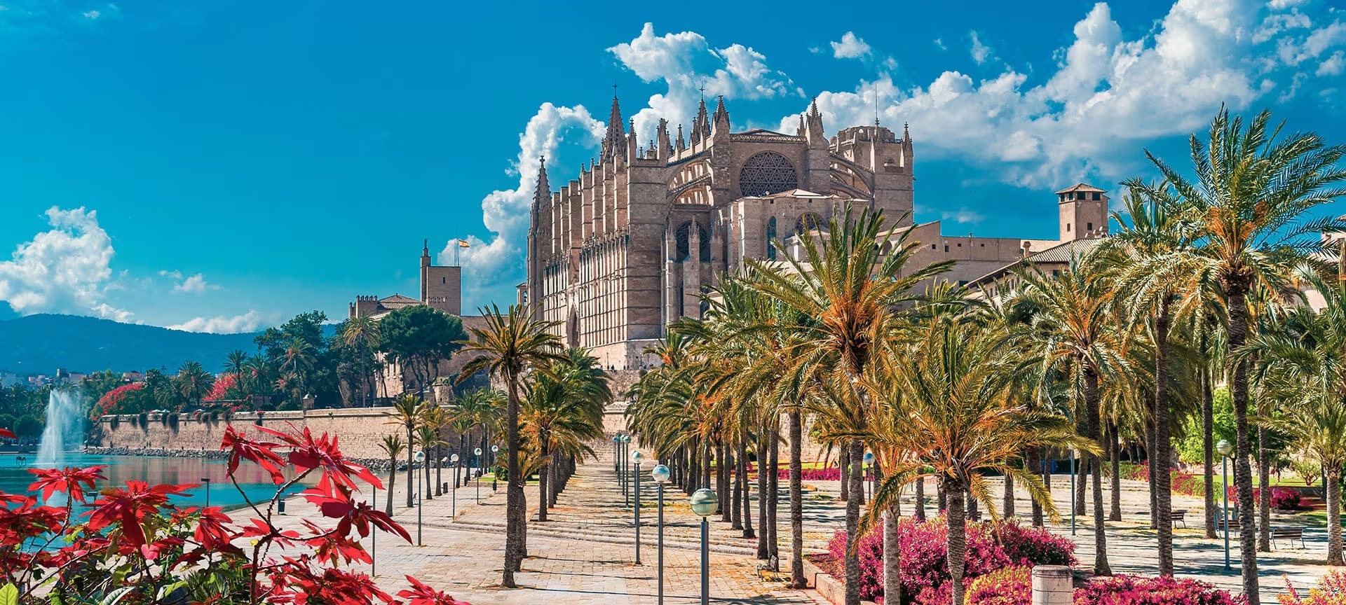 Cathedral of Palma de Mallorca Cathedral of Palma de Mallorca