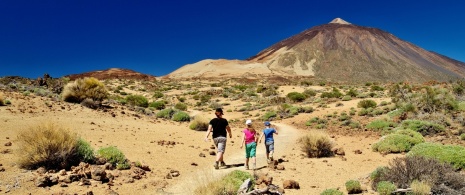 Family in Teide National Park, Tenerife Family in Teide National Park, Tenerife