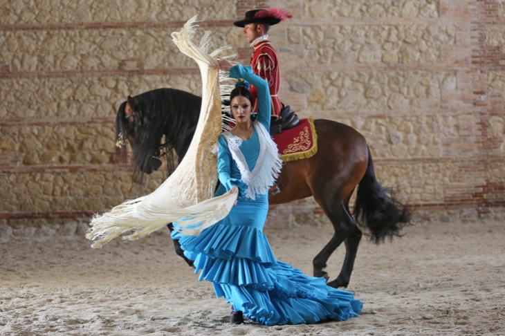 Equestrian show