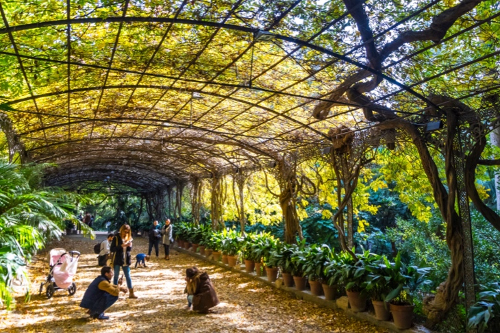 The Conception Botanical-Historical Garden in Malaga