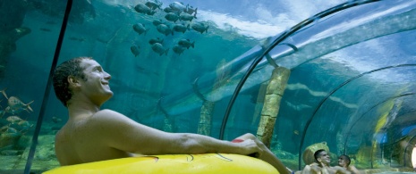 Mai Thai River Tube, no Siam Park Mai Thai River Tube, no Siam Park