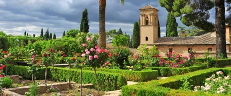 Jardín del Parador de San Francisco, en la Alhambra de Granada Jardín del Parador de San Francisco, en la Alhambra de Granada
