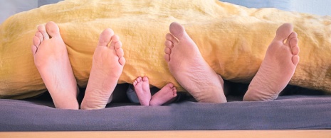 Pés de uma família sobressaindo da cama Pés de uma família sobressaindo da cama