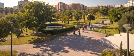 Turia Gardens. Valencia Turia Gardens. Valencia