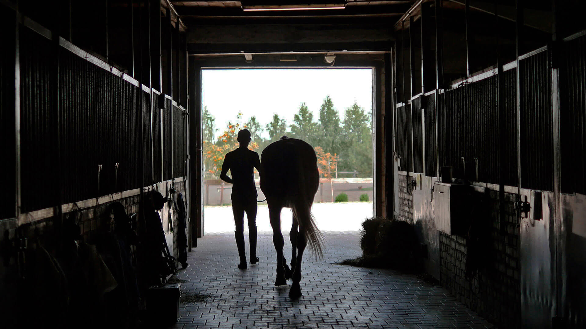 Equestrian touring