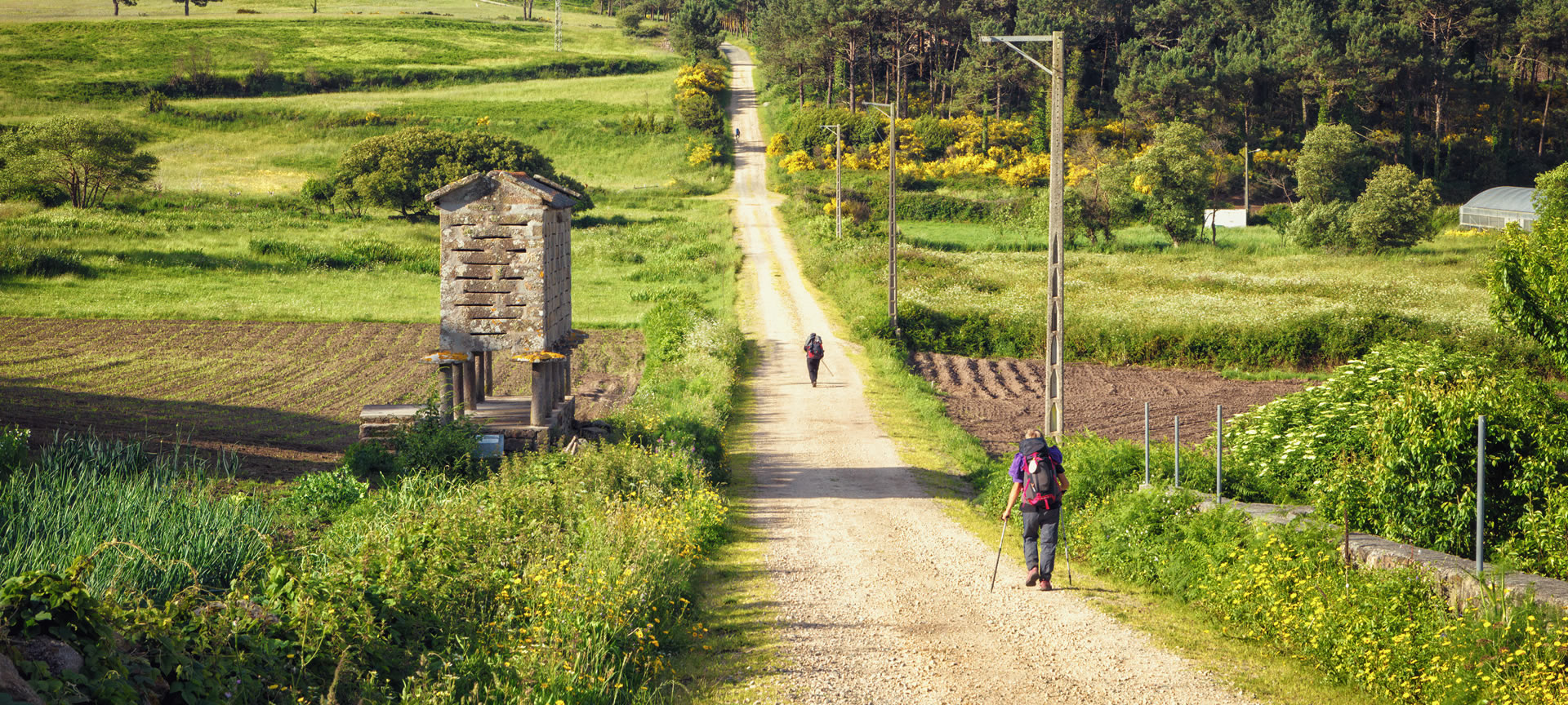 Pèlerins sur le chemin de Saint-Jacques vers Finisterre et Muxía Pèlerins sur le chemin de Saint-Jacques vers Finisterre et Muxía