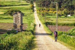 Peregrinos no Caminho de Santiago para Fisterra e Muxía
