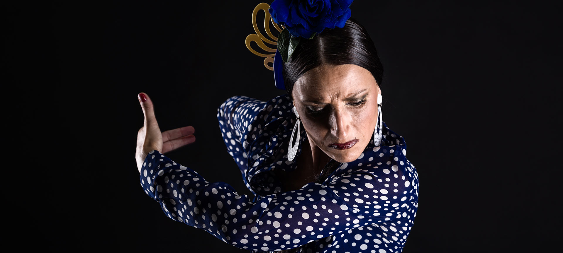 Danseuse de flamenco Danseuse de flamenco