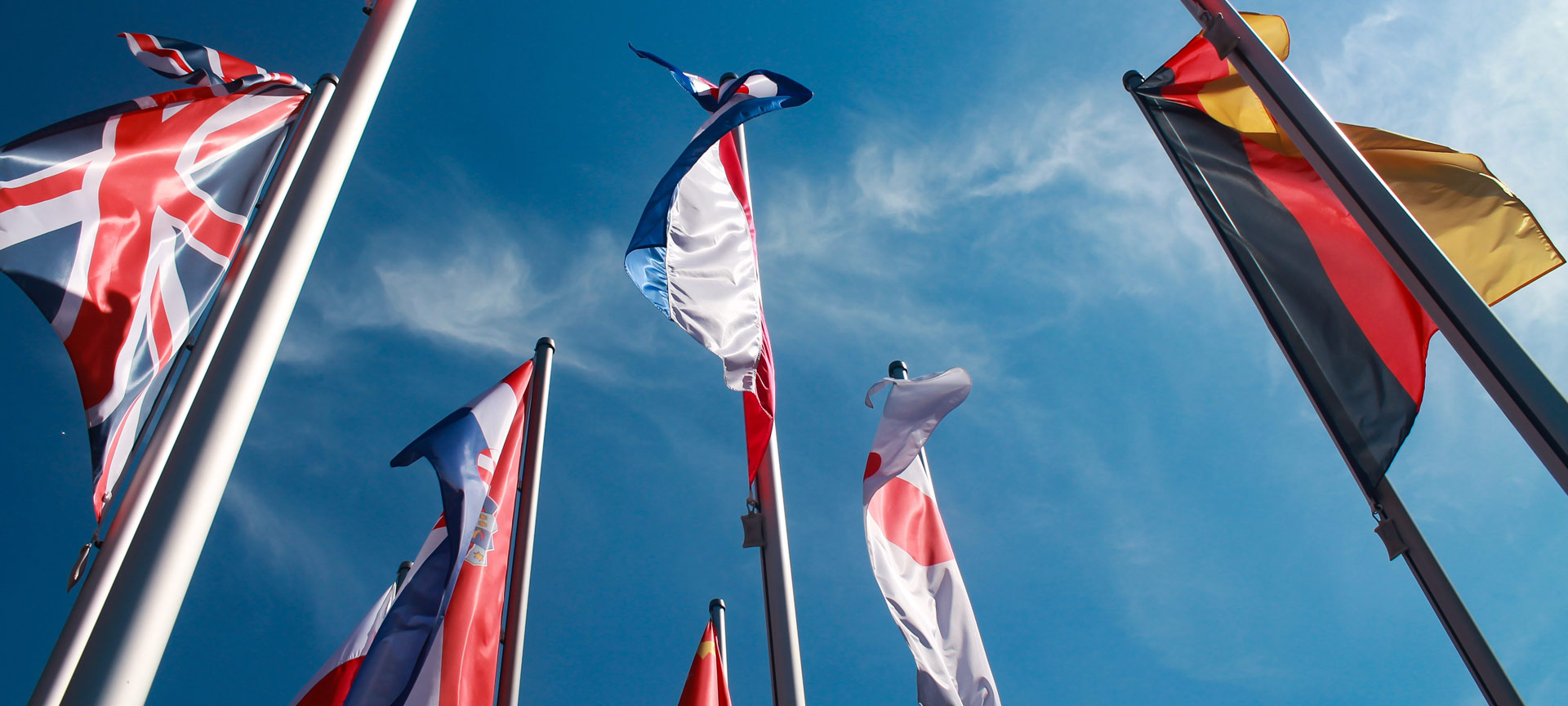 Flags Flags
