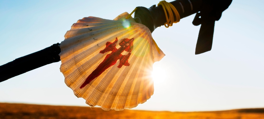 Pilgrim shell, a symbol of The Way of Saint James Pilgrim shell, a symbol of The Way of Saint James