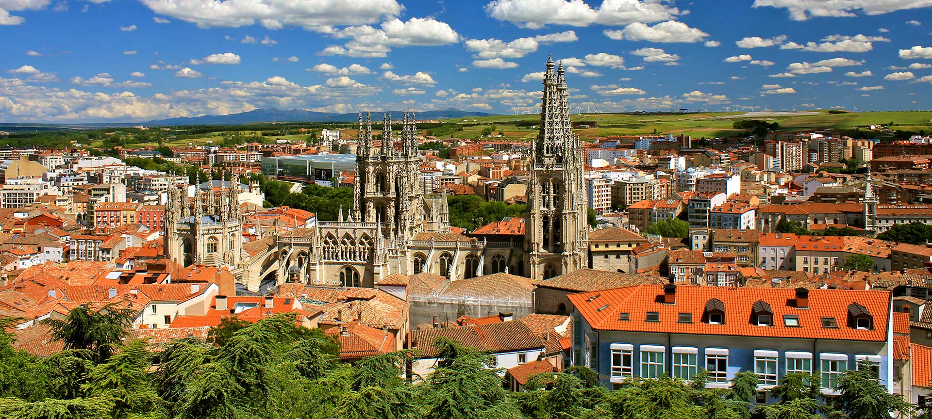 Vista de Burgos