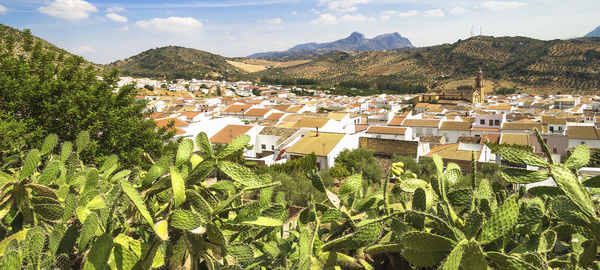 Vue panoramique d’Algodonales (province de Cadix, Andalousie)