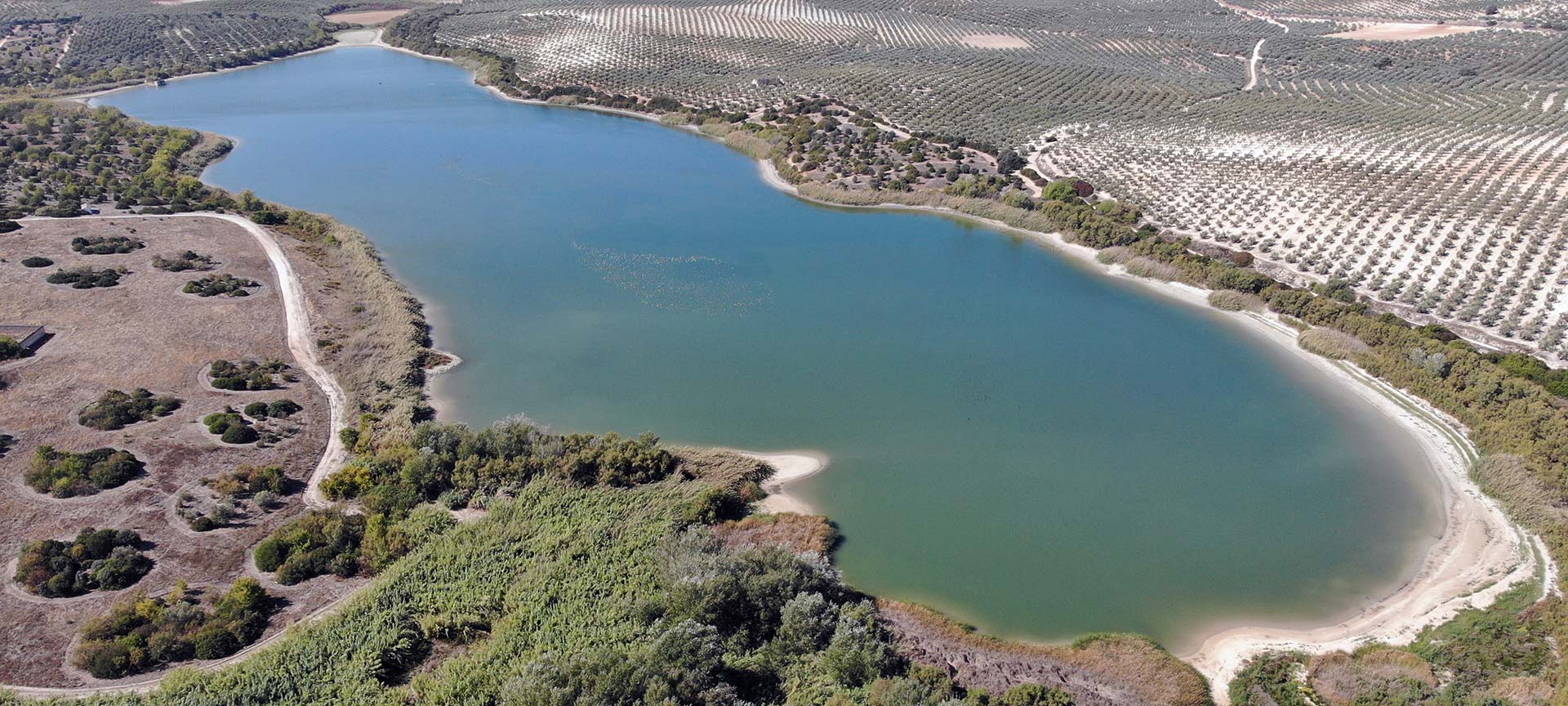 Lagoa Zóñar. Reserva Natural Lagunas del Sur de Córdoba