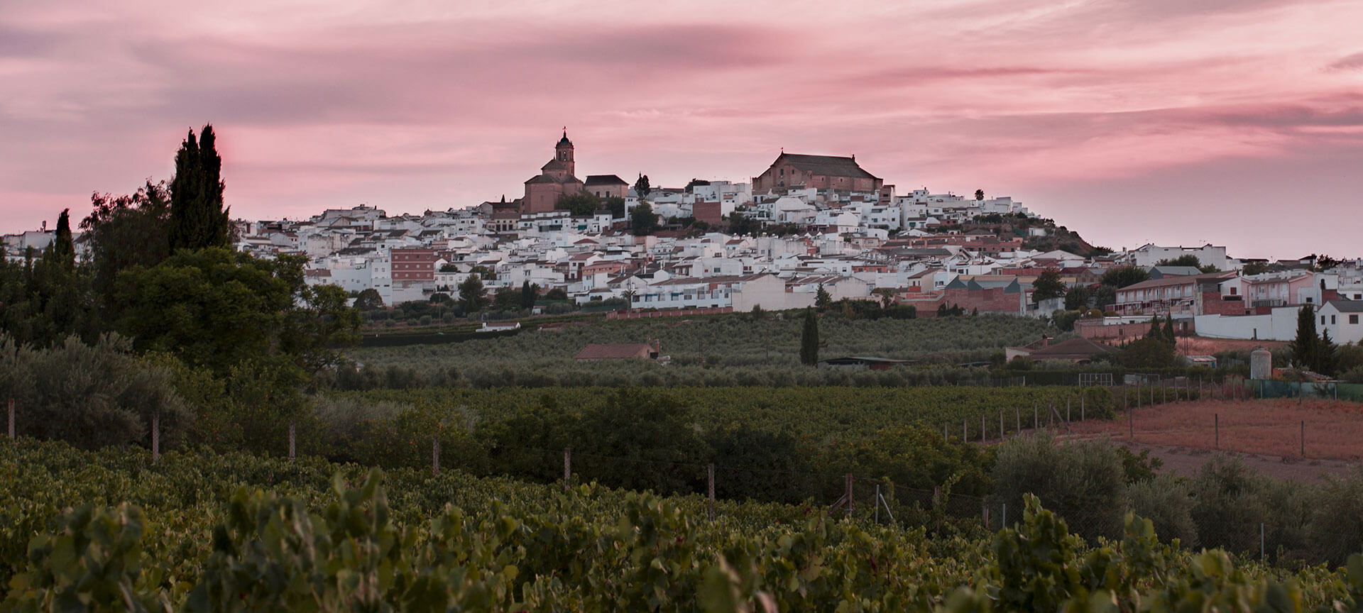 Widok panoramiczny Montilla (Kordoba, Andaluzja)