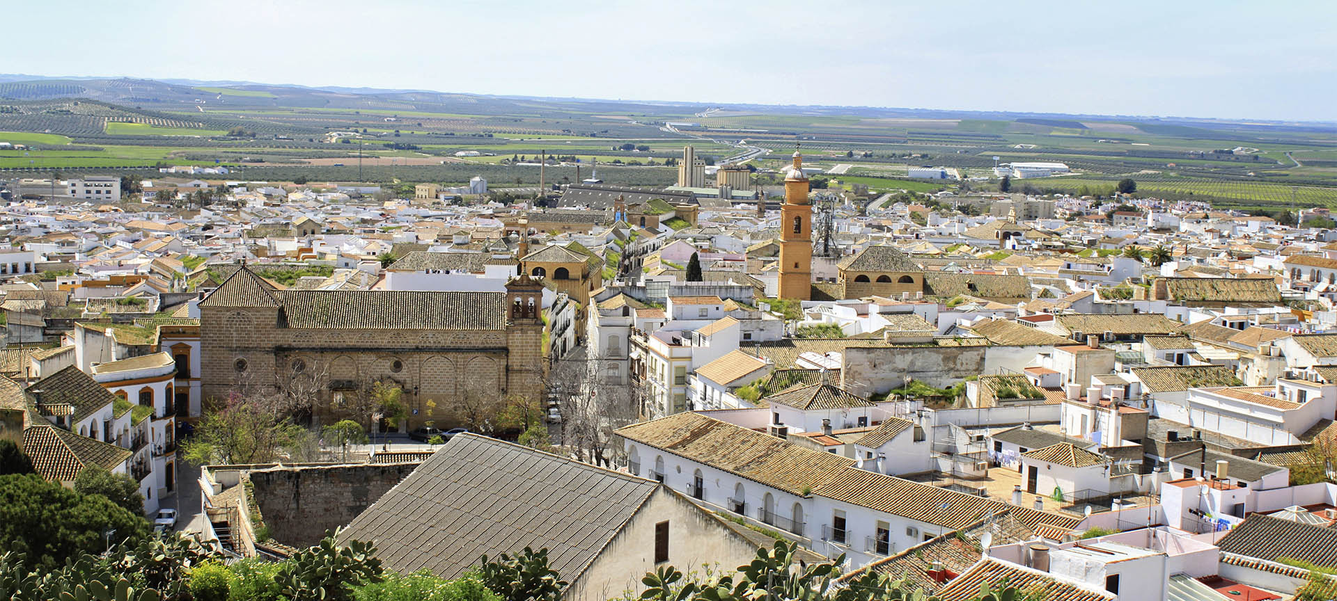 Panorámica de Osuna, en la provincia de Sevilla (Andalucía)