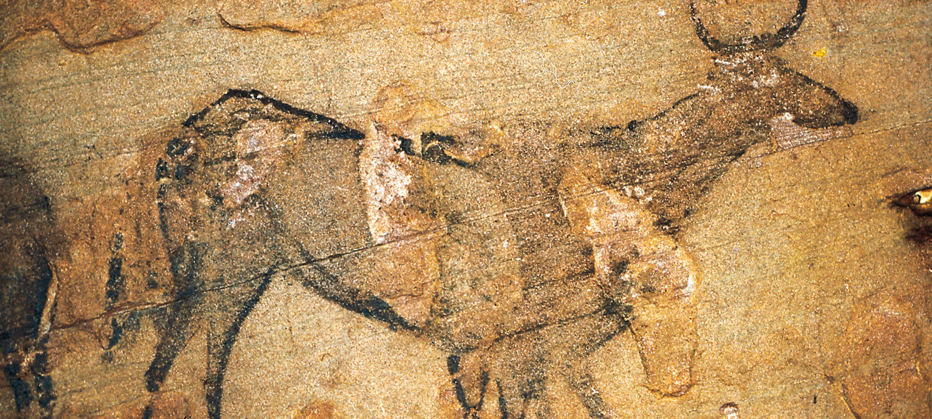 Abrigo del Prado del Navazo. Teruel