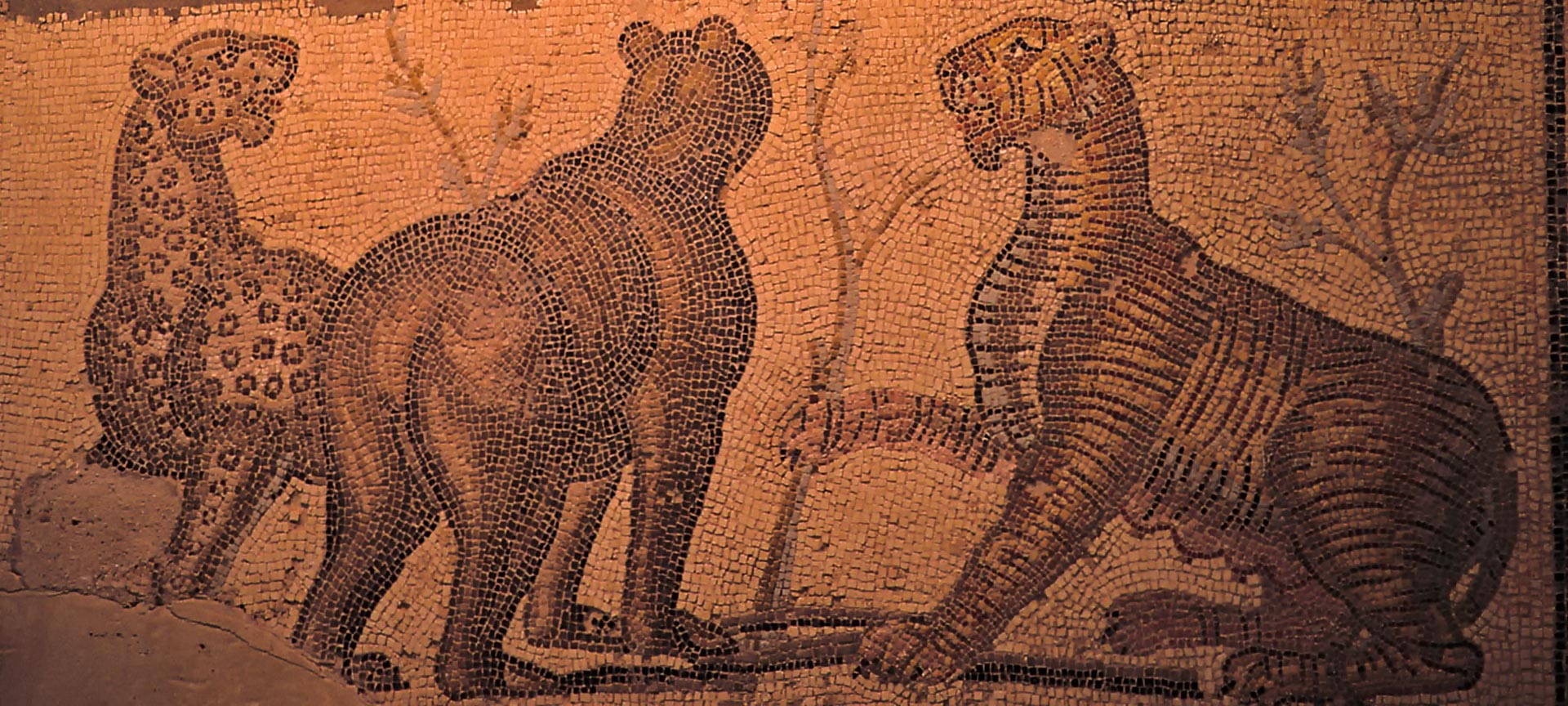 Mosaico romano no Museu de Zaragoza