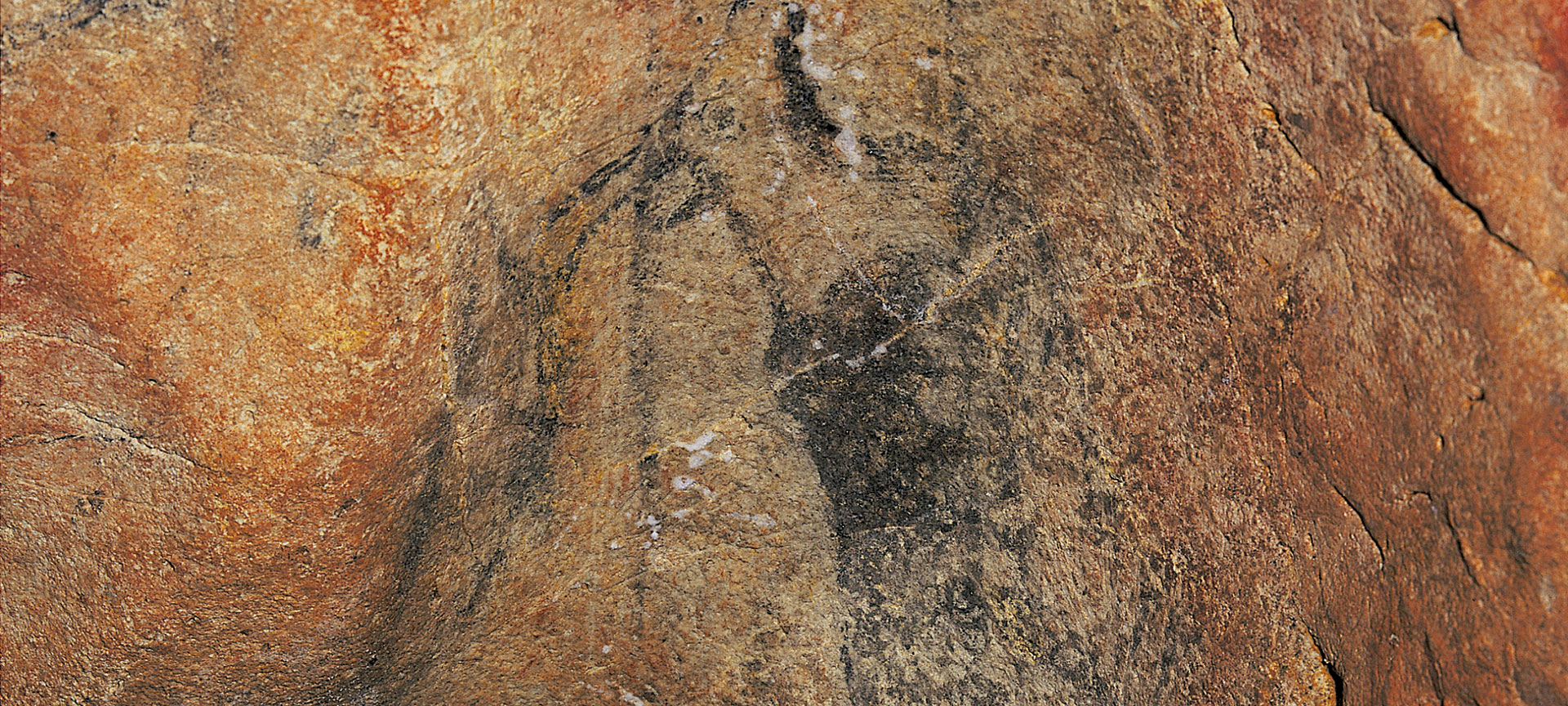 Cueva de Llonin, pintura rupestre. Asturias. Cueva de Llonin, pintura rupestre. Asturias.