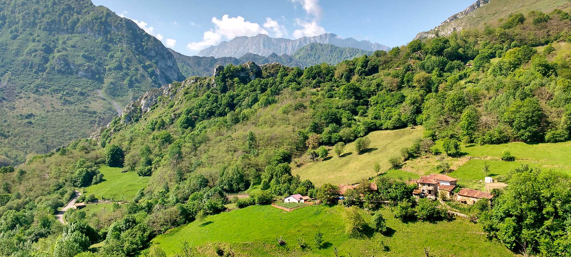 Paesaggio di Ponga, Asturie Paesaggio di Ponga, Asturie