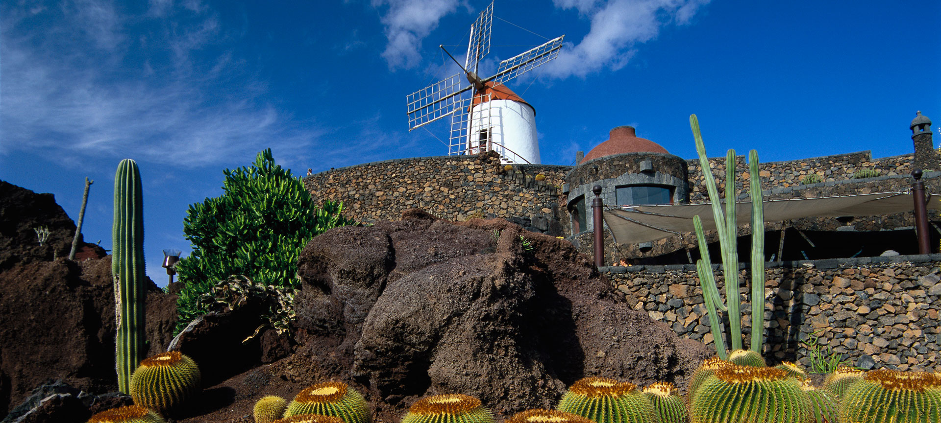 Jardín de Cactus, Lanzarote