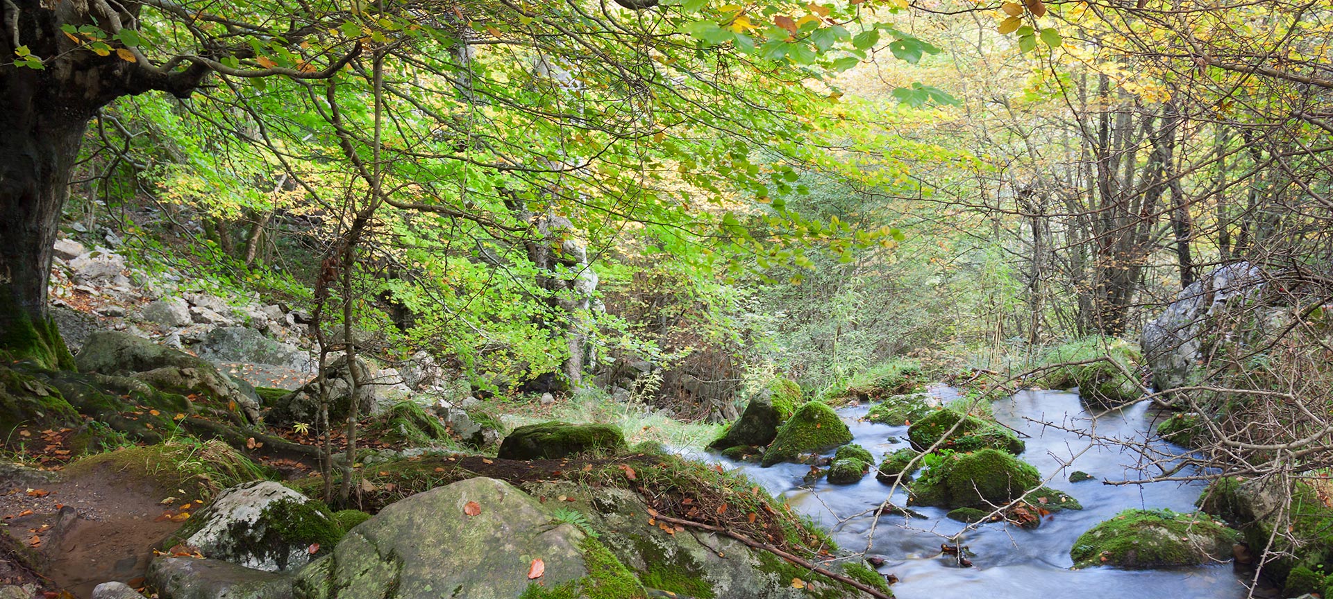 Parco Naturale dei Collados del Asón, Cantabria Parco Naturale dei Collados del Asón, Cantabria