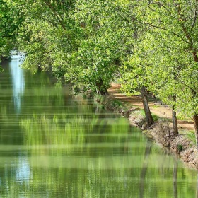 Canale di Castiglia all'altezza di Medina de Rioseco, Valladolid