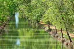 O Canal de Castilla ao passar por Medina de Rioseco, Valladolid