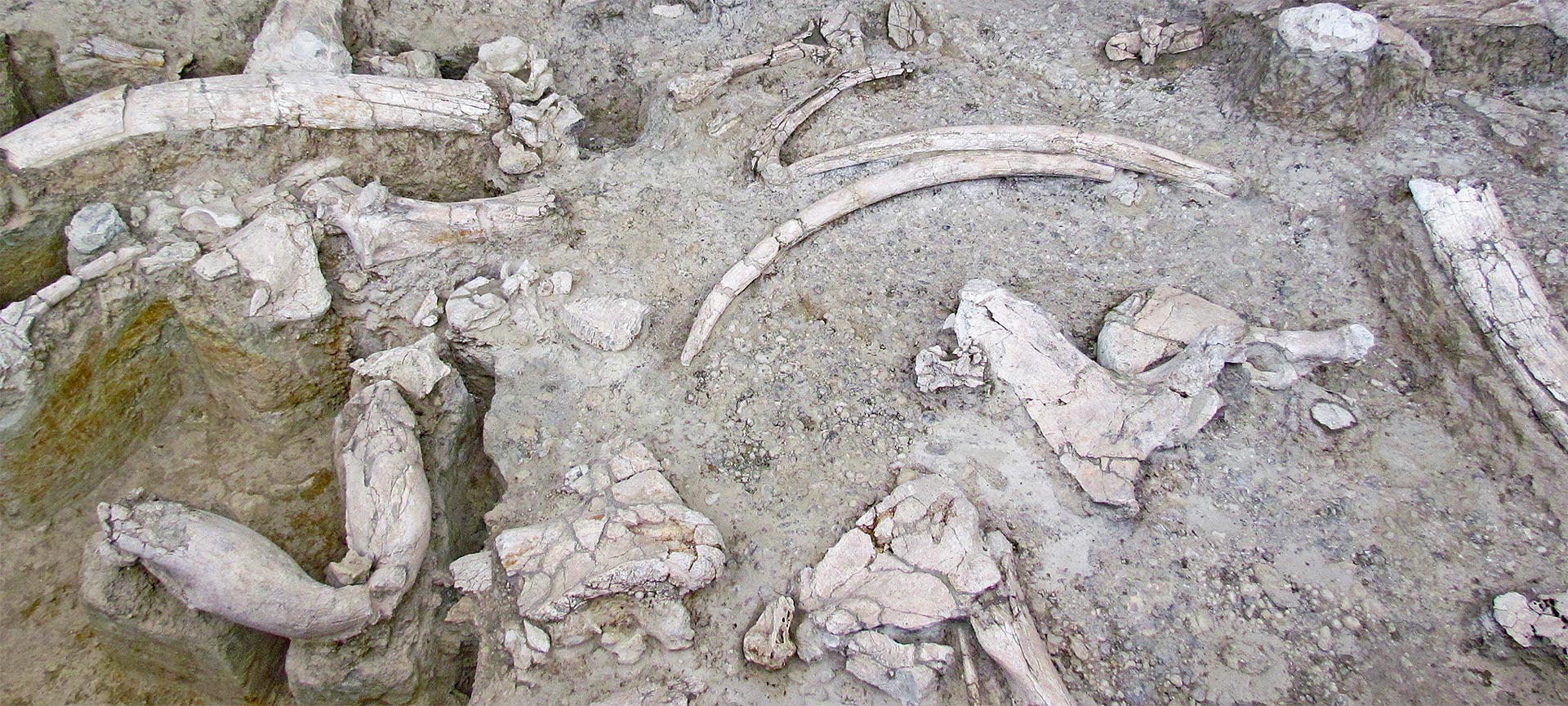 Stanowisko-Muzeum Archeologiczne Ambrona Stanowisko-Muzeum Archeologiczne Ambrona