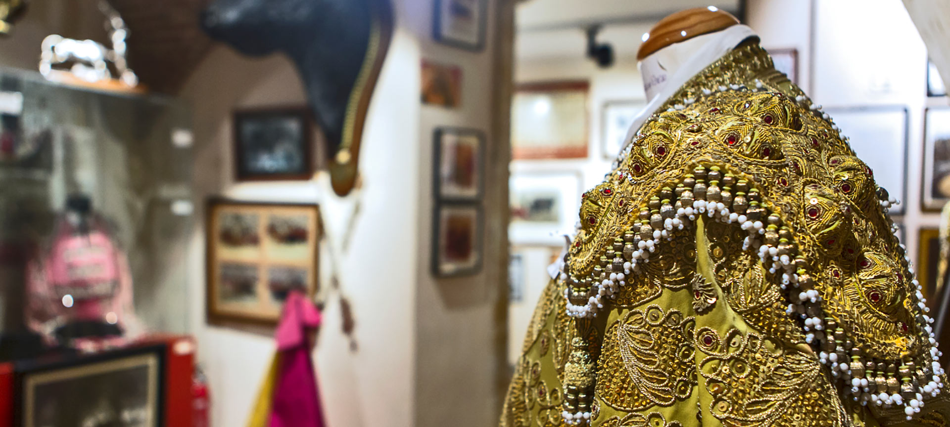 Salamanca Bullfighting Museum