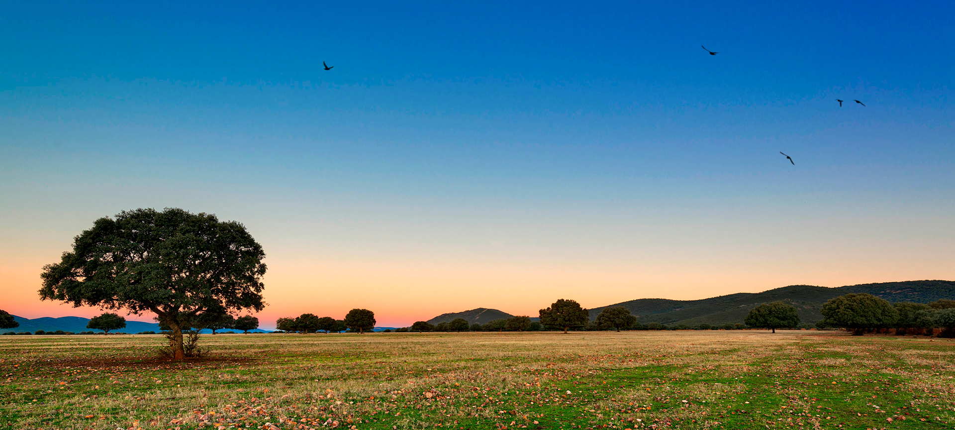 Turismo Castilla-La Mancha