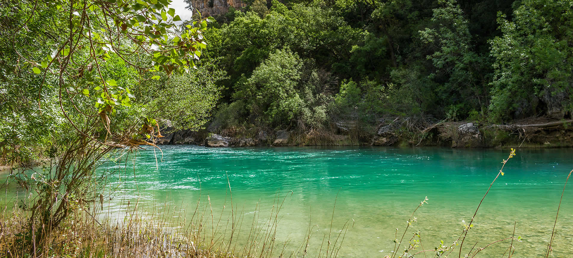 Parque Natural del Alto Tajo en Ocentejo