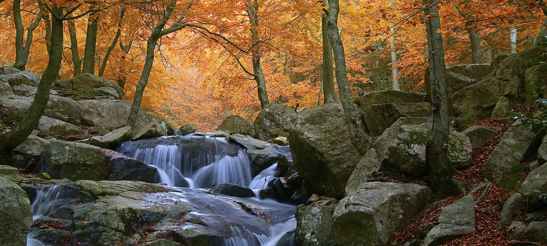 Waterfalls in the Montseny natural park, Barcelona, Catalonia