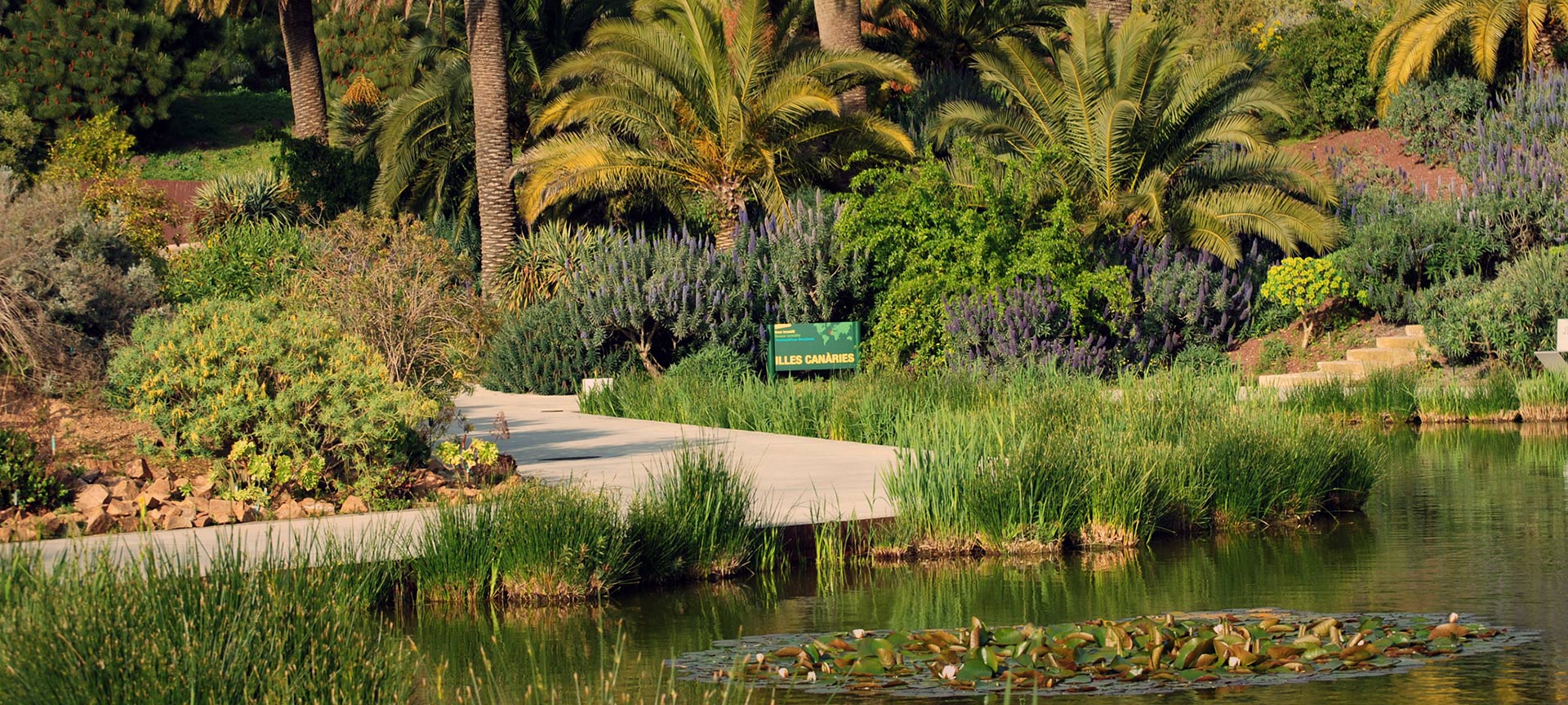 Botanical Garden in Barcelona