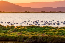 Parque Natural do Delta de L'Ebre Tarragona