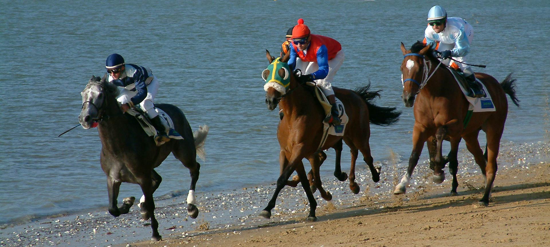 Courses de chevaux sur la plage