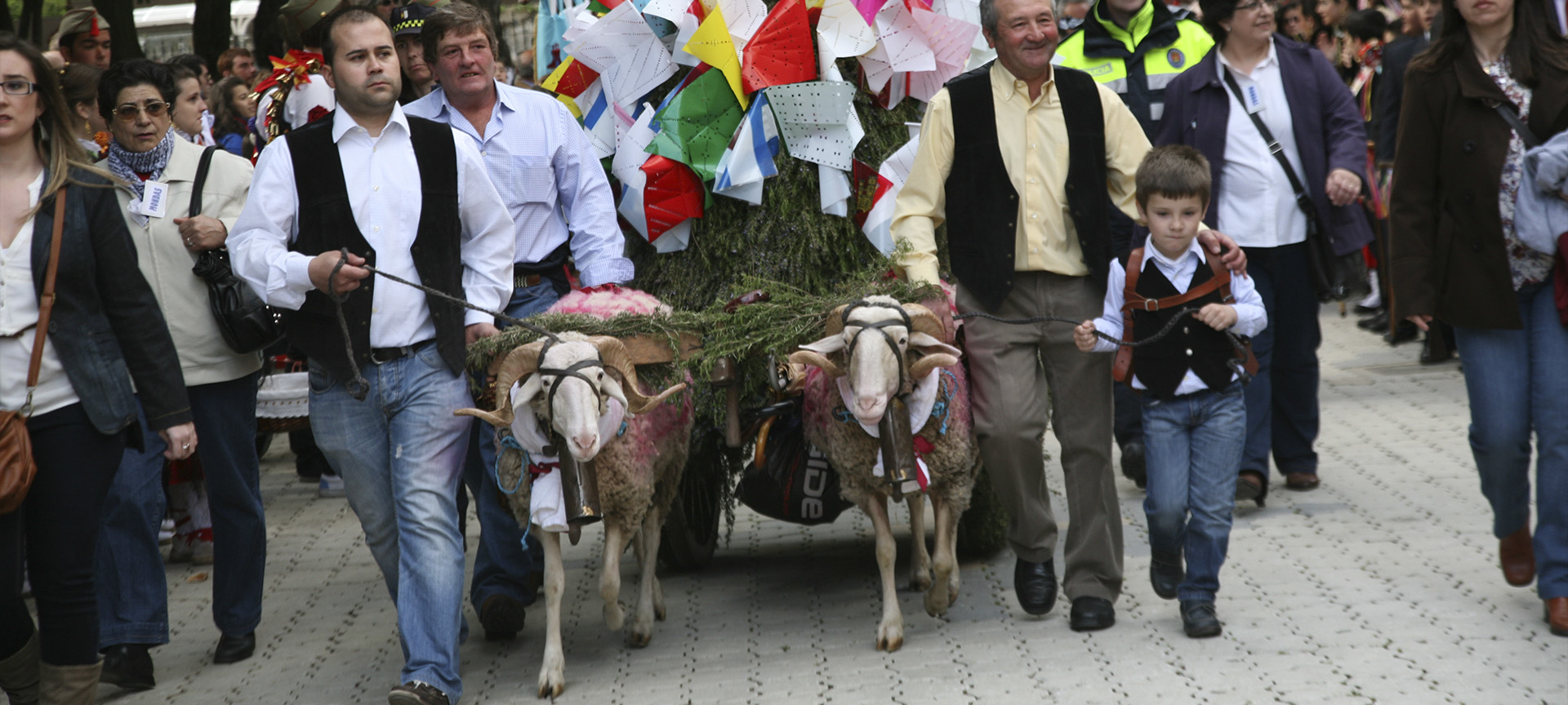 Un carro trainato da due montoni trasporta l'offerta degli abitanti di una frazione durante la festa di Las Mondas, a Talavera de la Reina (Toledo, Castiglia-La Mancia)