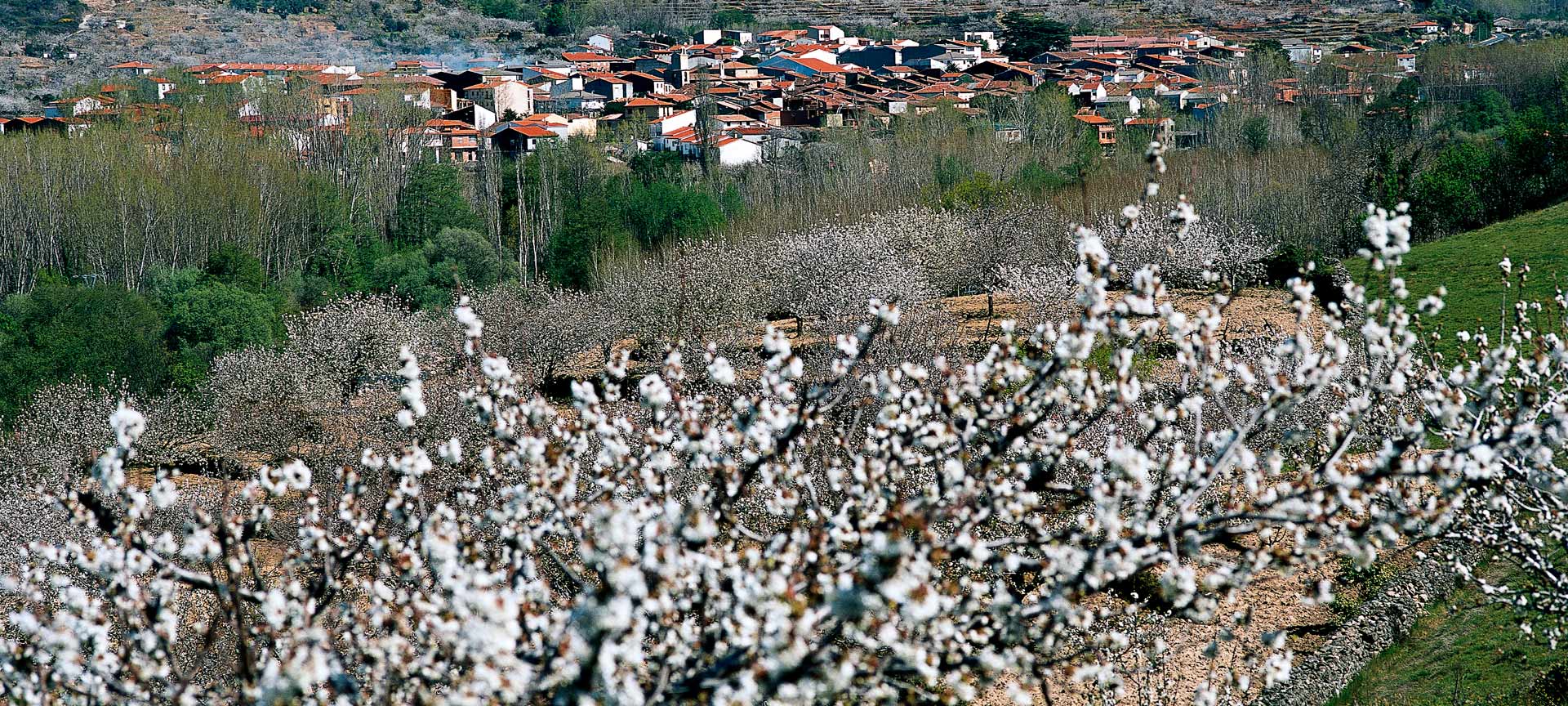 Vale do Jerte (Cáceres)