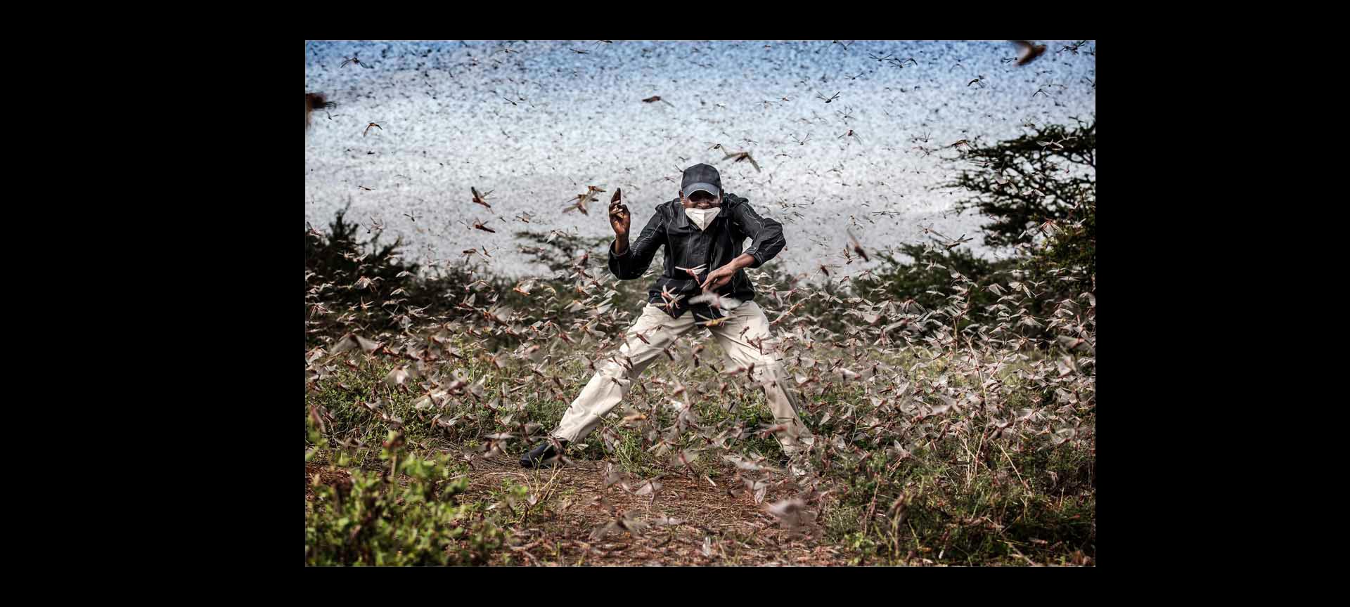 Photo of the Year finalist. Fighting Locust Invasion in East Africa
