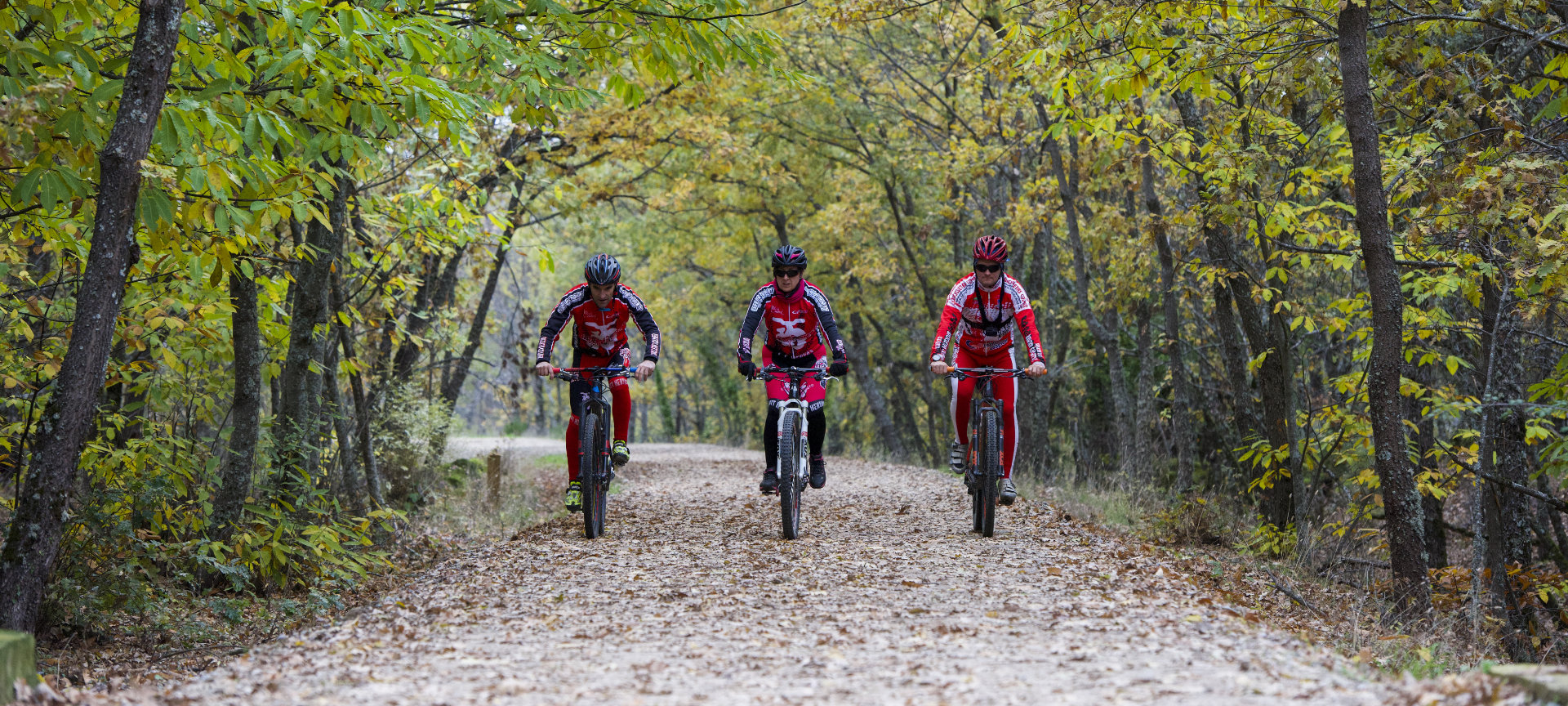 Un groupe de cyclistes sur la Voie Verte « Ruta de la Plata » à Cáceres