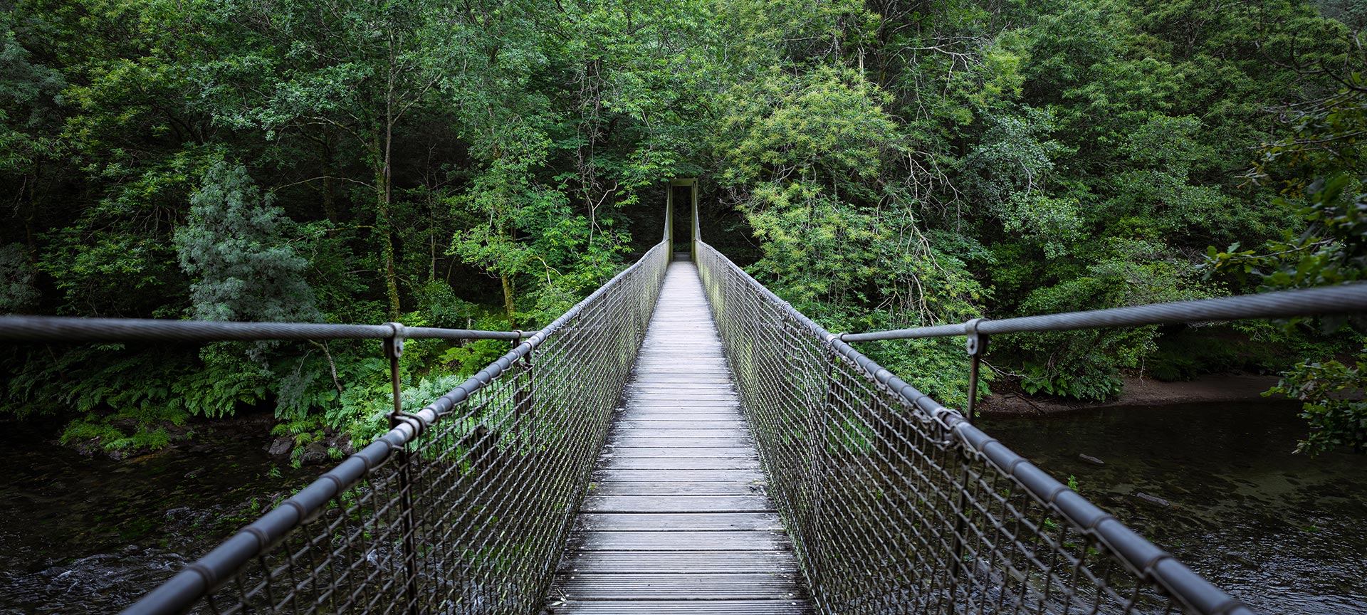 Suspension bridge in the Fragas do Eume Natural Park in A Coruña, Galicia
