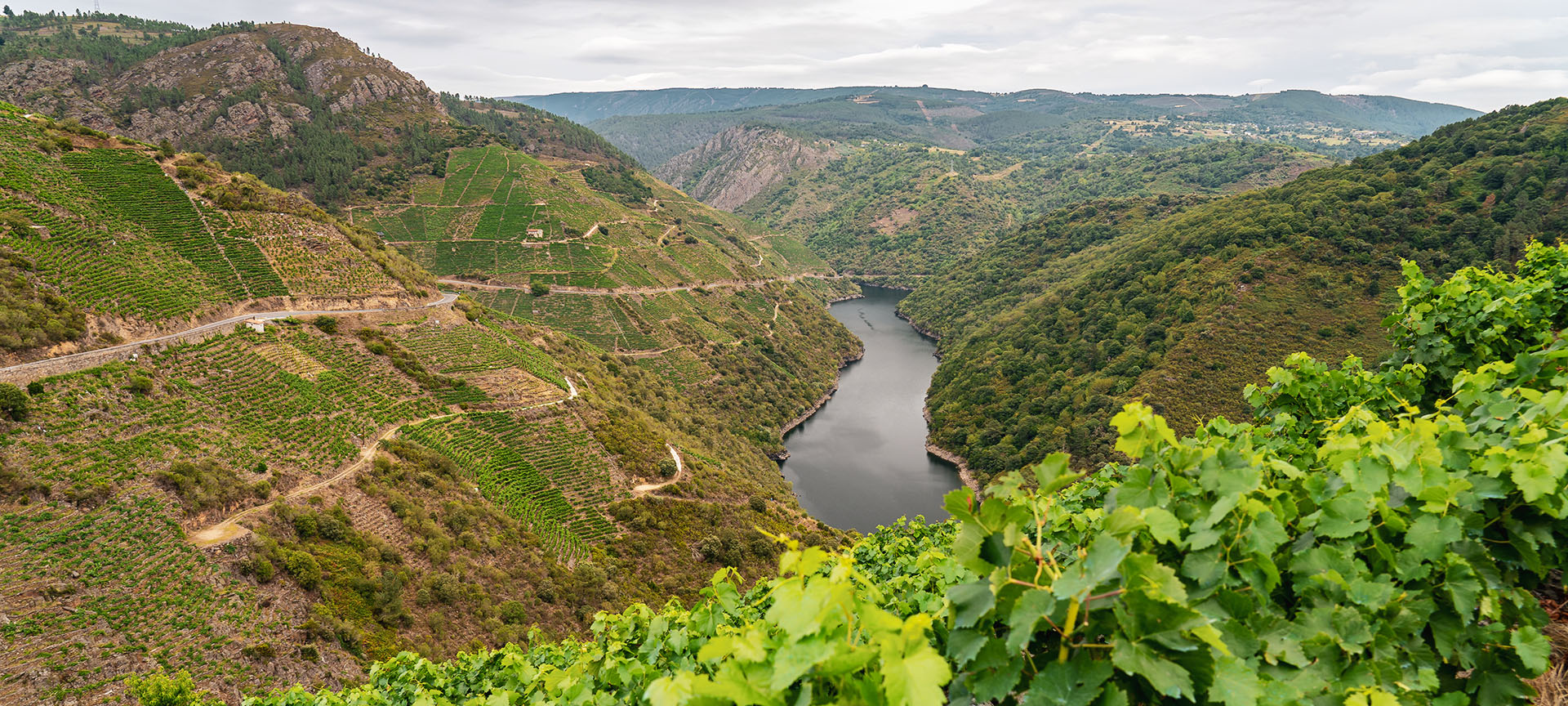 Ribeira Sacra in Galicien
