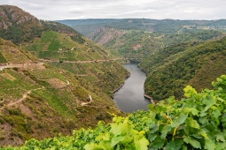 Ribeira Sacra in Galicia