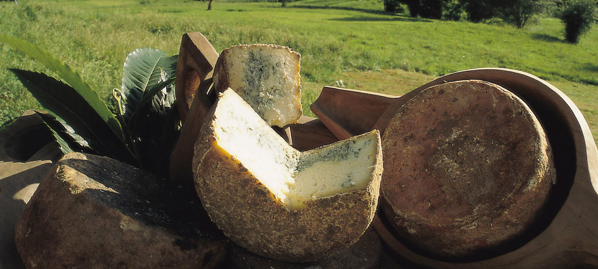 Cabrales cheese Cabrales cheese