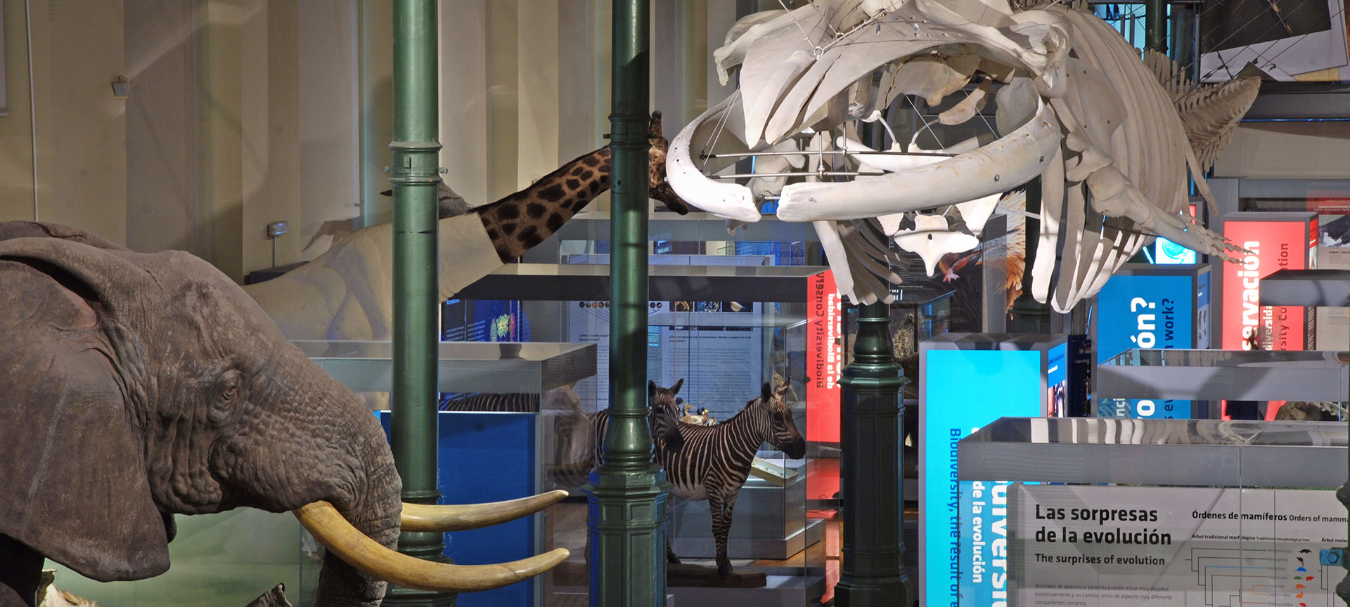 Nationales Museum der Naturwissenschaften
