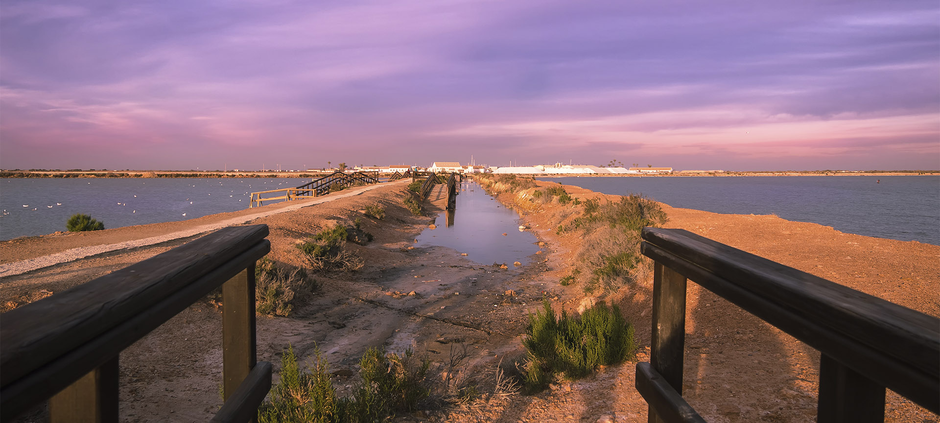 Marais salants de San Pedro del Pinatar, dans la province de Murcie