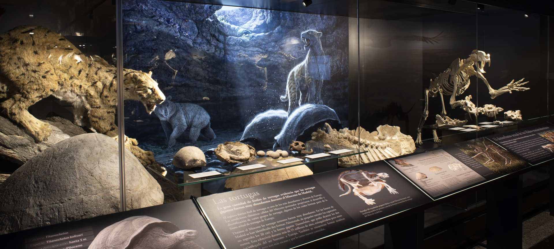 Exhibition at the Regional Archaeological Museum at Alcalá de Henares