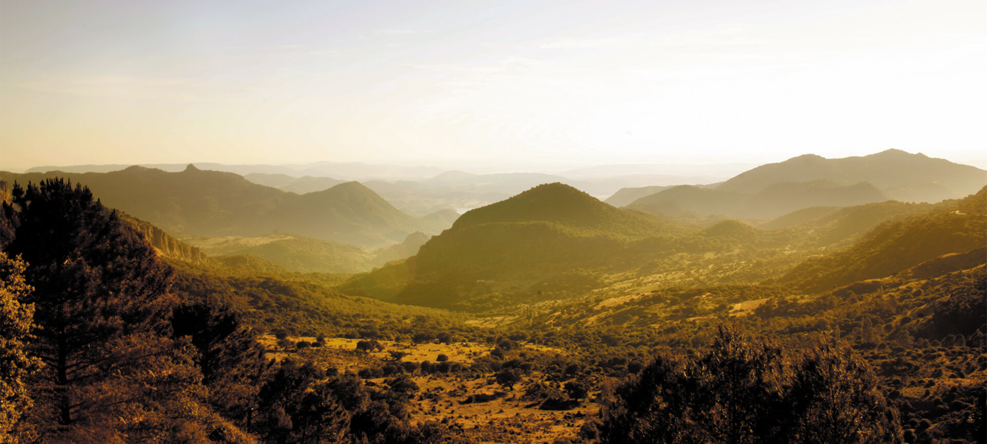 Sierra de Grazalema