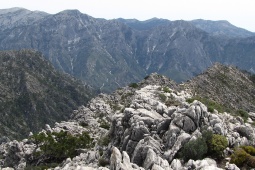 Parque natural das Sierras de Tejeda, Almijara e Alhama