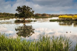 Aiguamolls de l'Empordà