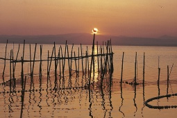 L'Albufera (Valência)